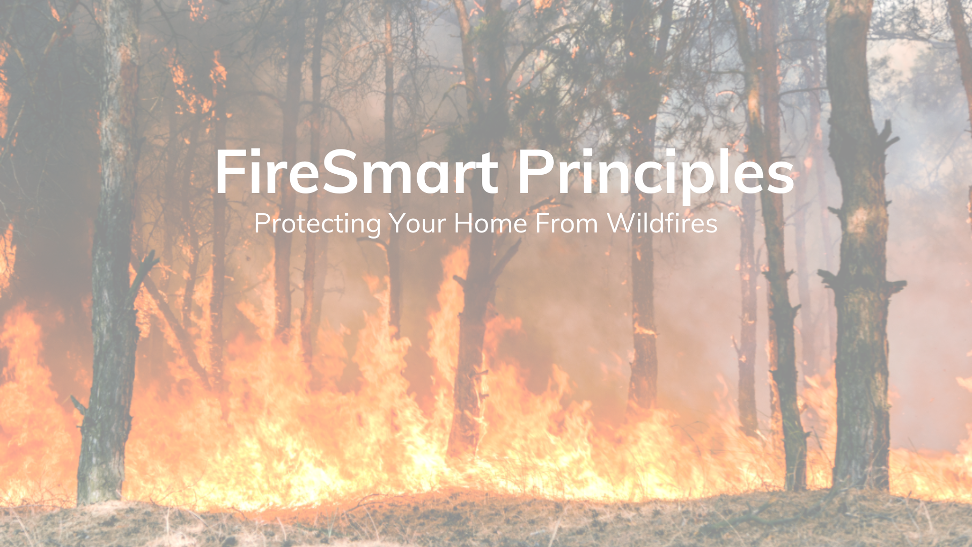 FireSmart Principles - Protecting your home from wildfires