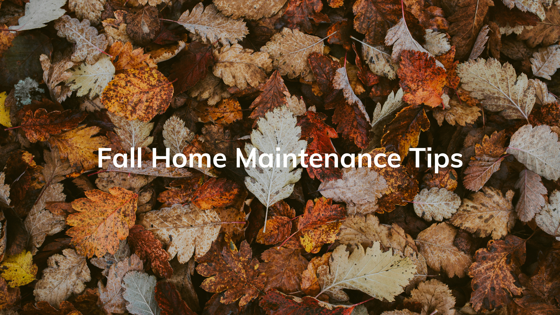 Fall Home Maintenance Tips: Preparing Your Home for the Season